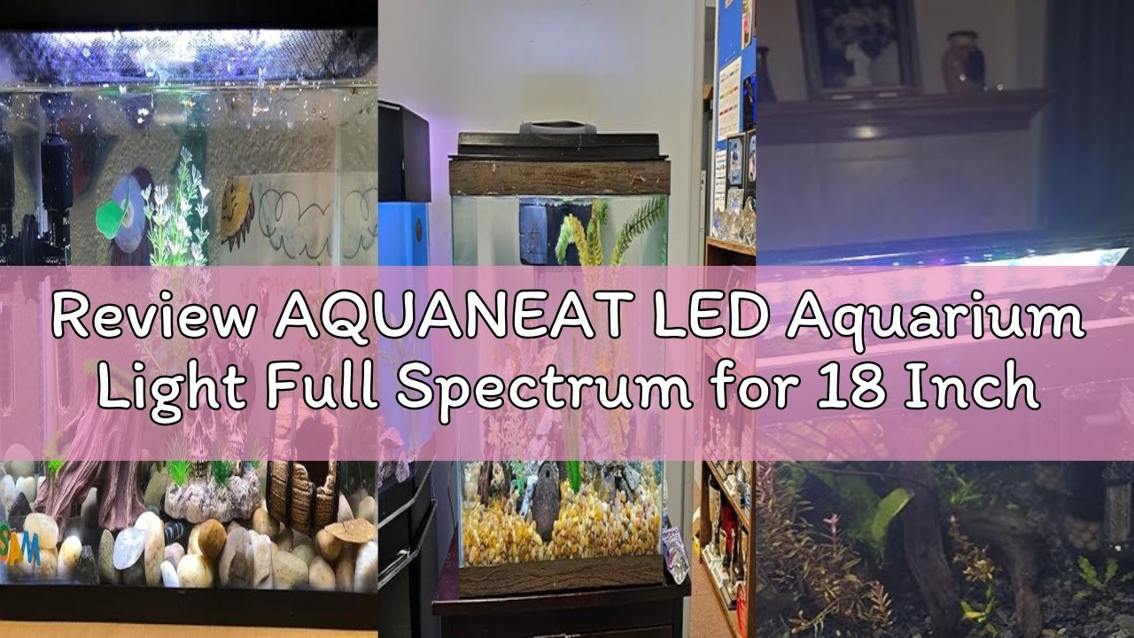 Review AQUANEAT LED Aquarium Light Full Spectrum for 18 Inch to 24 Inch Fish Tank Light Fresh Water
