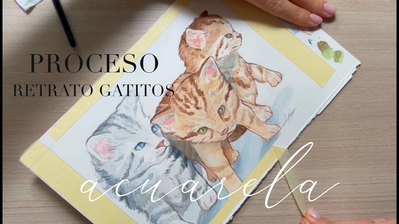 Proceso gatitos en acuarela