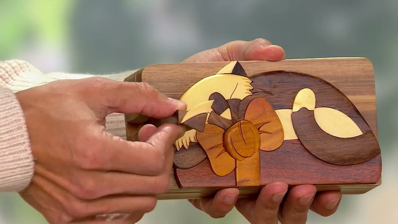Carver Dan's Hand Made Wooden Puzzle Box w/ Magnetic Closure on QVC