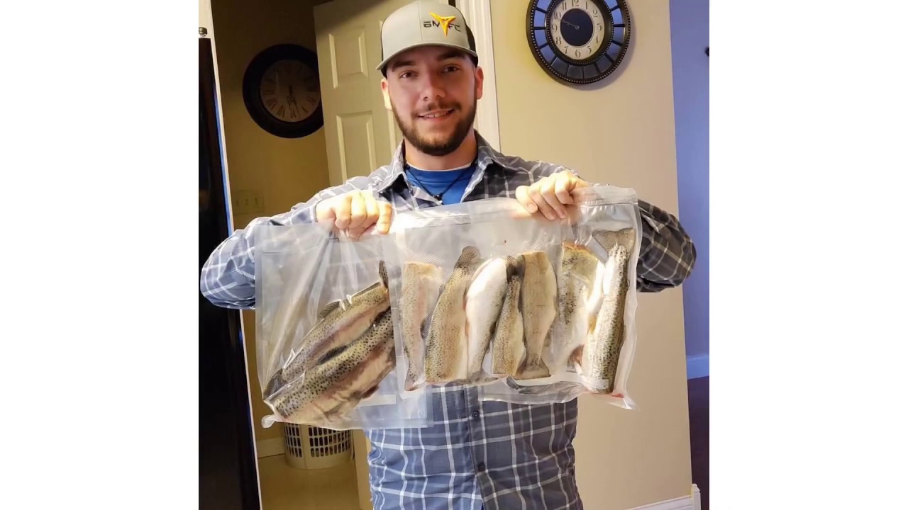 Wolf creek dam! Fly fishing hatchery creek trout stream (trout with a surprise!)