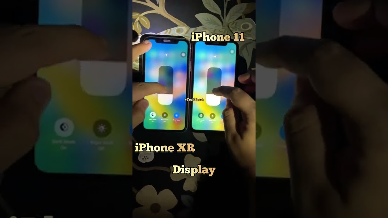 iPhone 11 LCD display vs iPhone XR LCD display ⚡️🔥