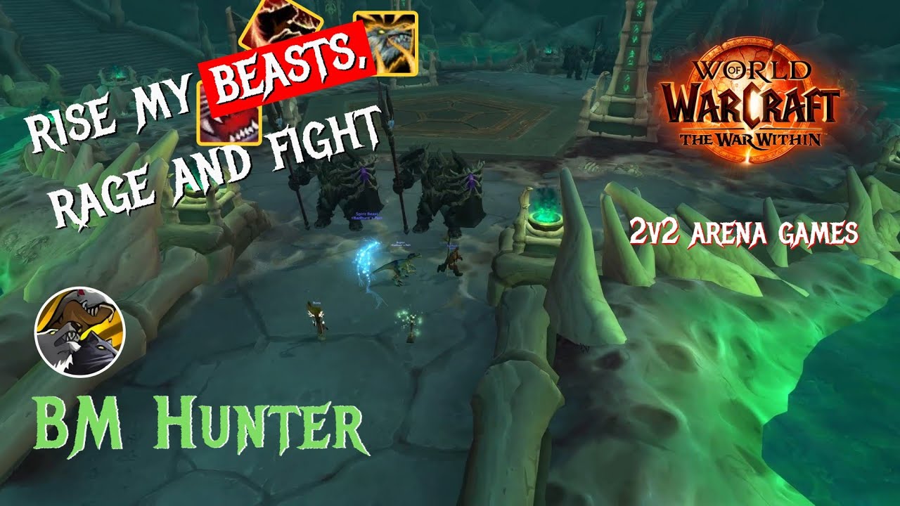 World of Warcraft | BM Hunter | 2v2 Arena Games | TWW