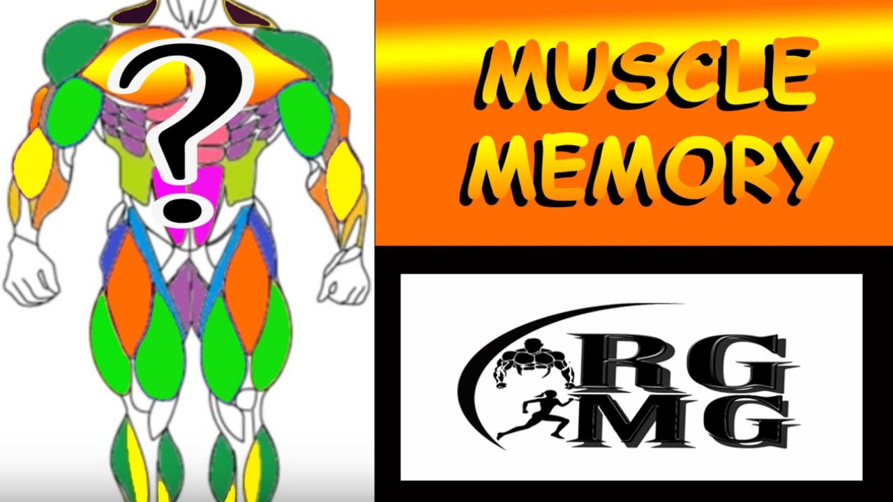 Cellular Repair & Muscle Memory - Easy Fitness and Food Tips with Melissa