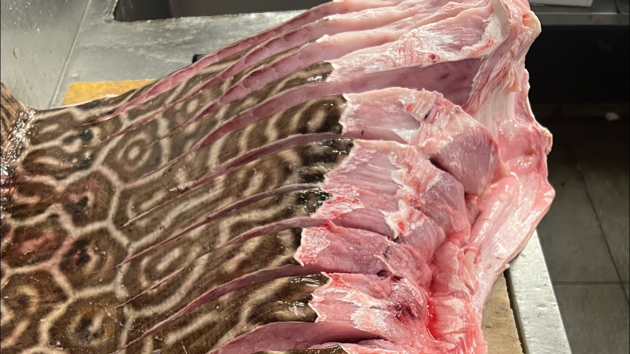 Amazing stingray fish cutting (Ikan pari potong)