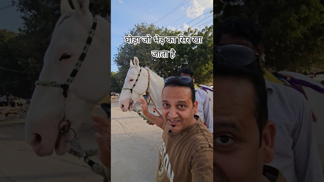 Meat eating Horse 🙏 Kabi dekha hai aisa Horse 😇🙏