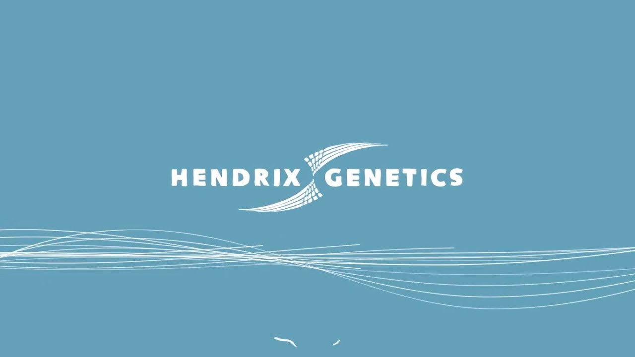 Hendrix Genetics – We are Hendrix Genetics (EN)