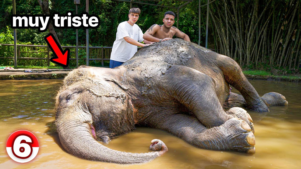 NO VISITES ESTO SI VIENES A BALI EP.6