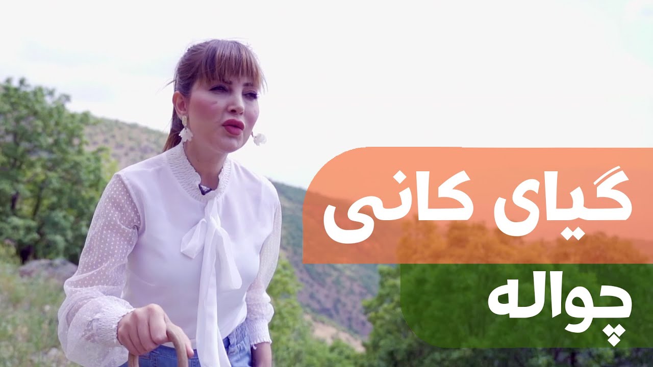 Giyayê Kanî - Çiwale | گیای کانی - چوالە