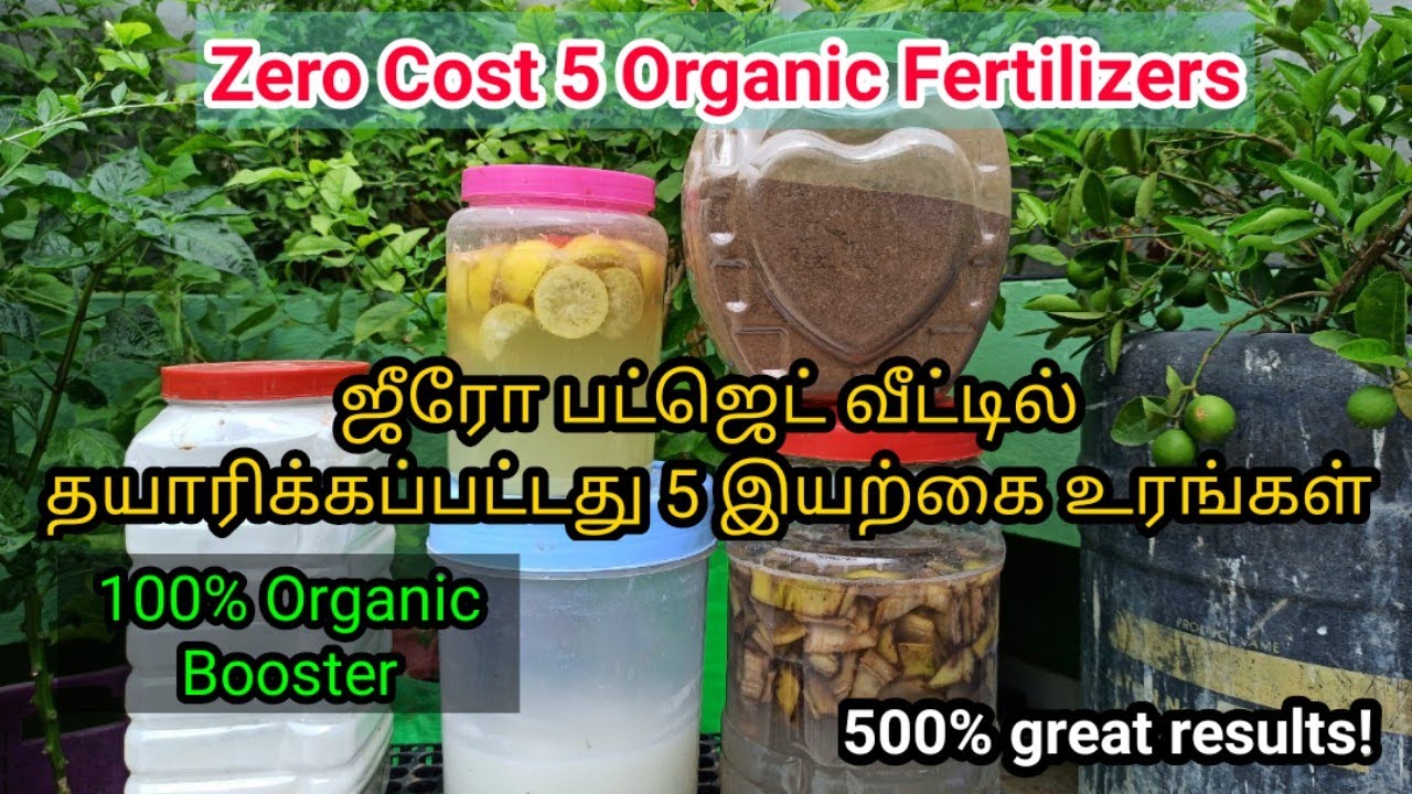 5 இயற்கை உரங்கள் வீட்டில் தயாரிக்கப்பட்டது | zero cost homemade organic Fertilizers for all plants