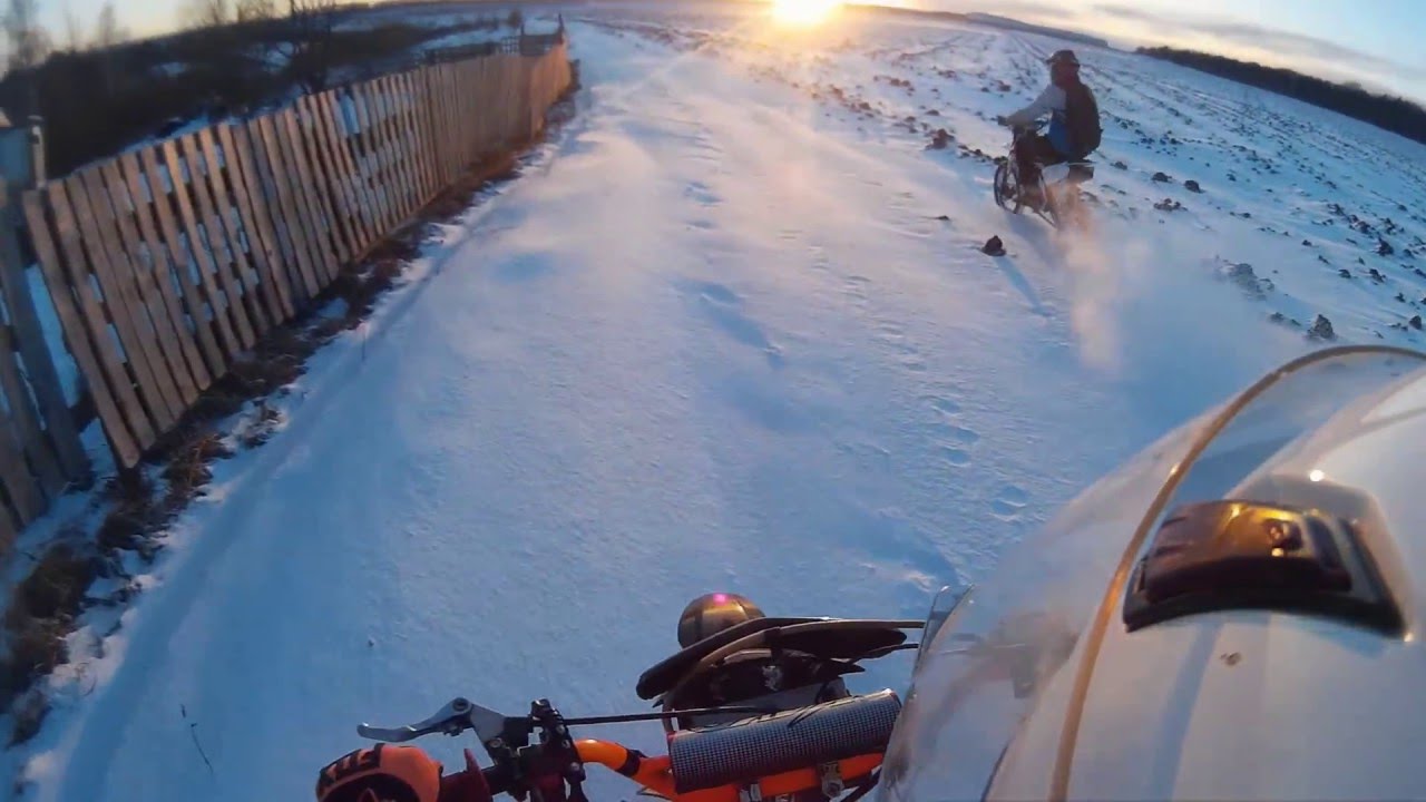 Winter Net Buzz 2015