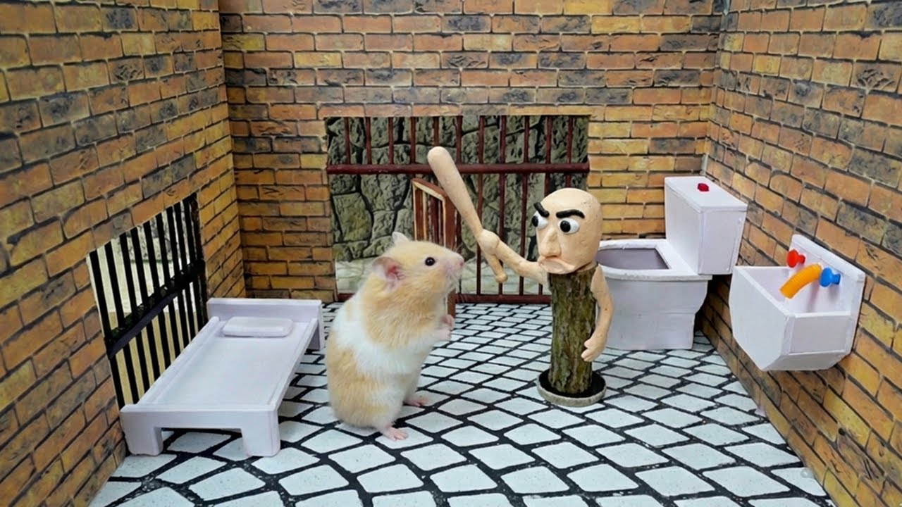 Hamster Outsmarts the Guards and Escapes Prison