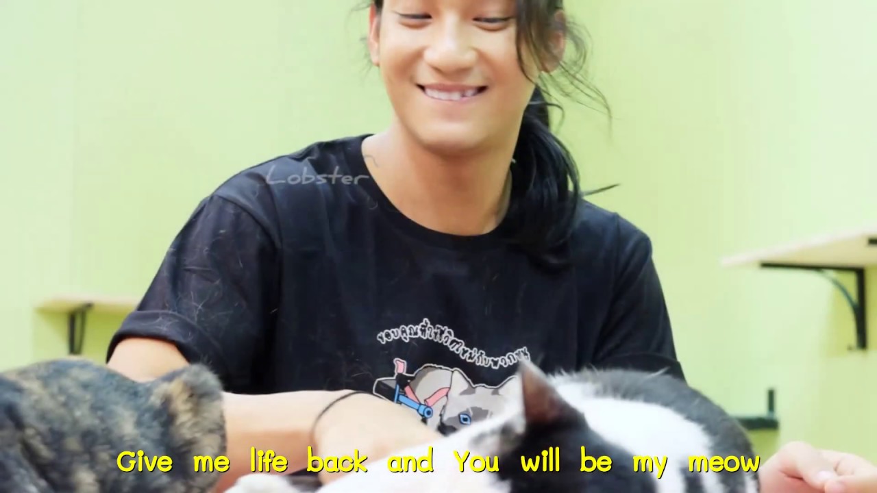 [Thai Karaoke] Paing Takhon : Be my meow meow