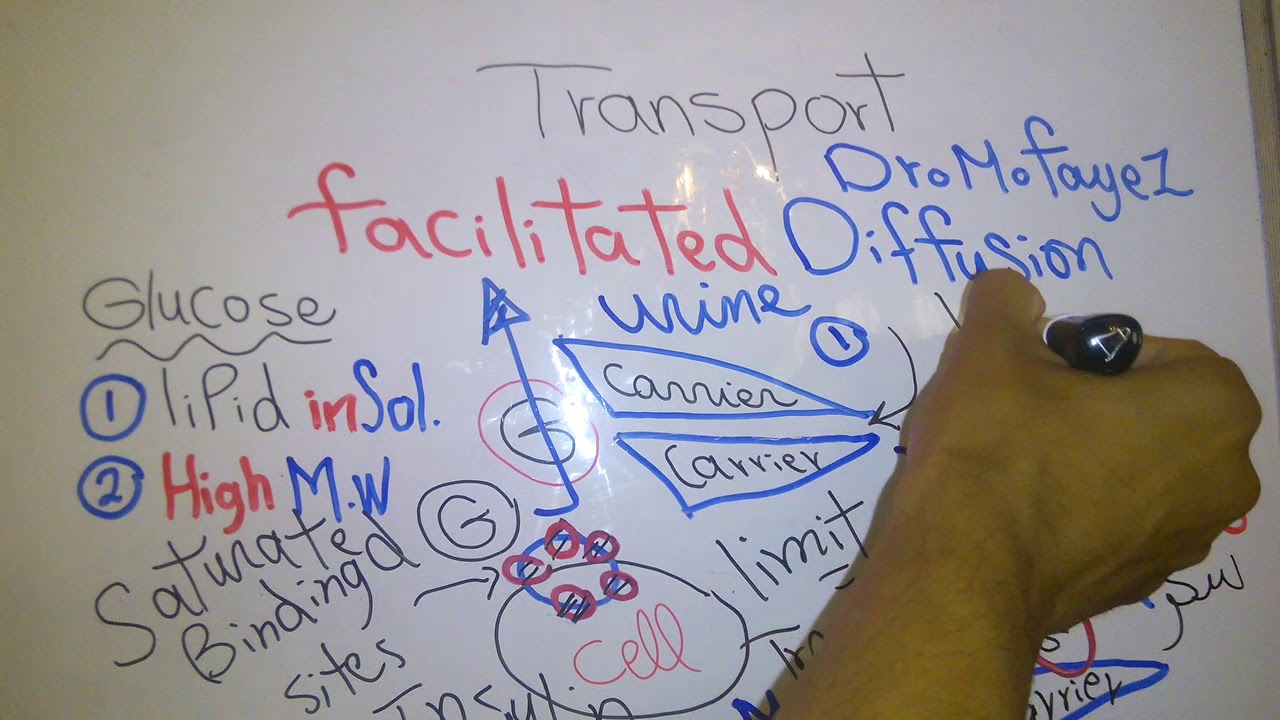 Introduction new system (Transport part 1) dr mohamed fayez