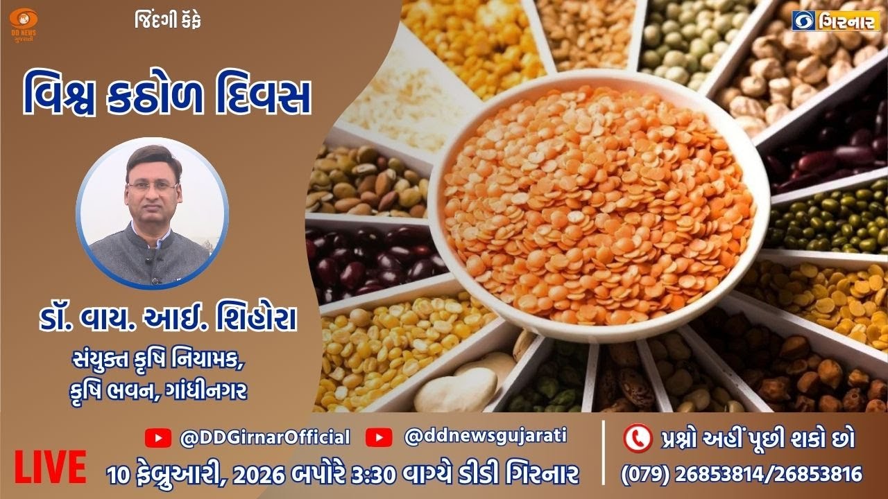 જિંદગી કેફે |