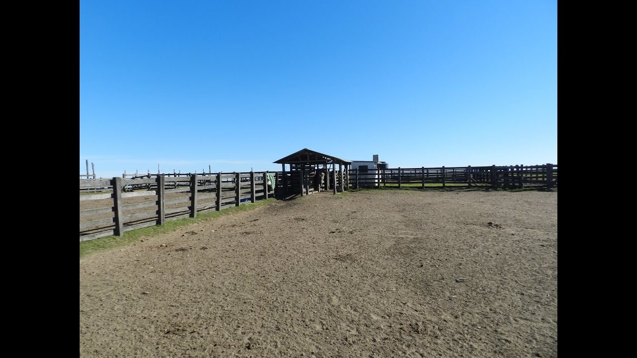 Fazenda a venda com 3.200 hectares no Uruguai departamento de Tacuarembó