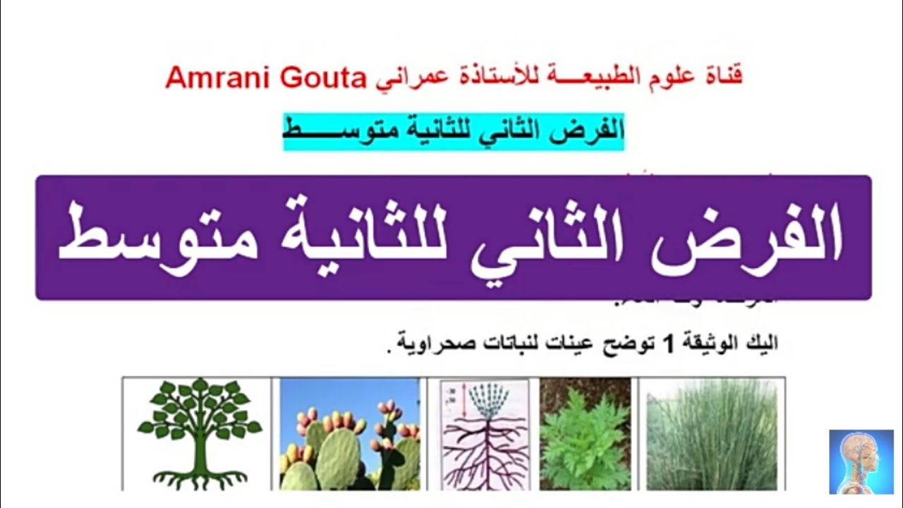 فرض مقترح بقوة للفصل الثاني سنة ثانية  متوسط 2022