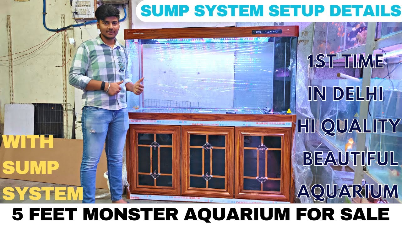 5 Feet Monster Aquarium With Sump System For Sale | How To Setup Sump System | Badal Pet Shop Delhi