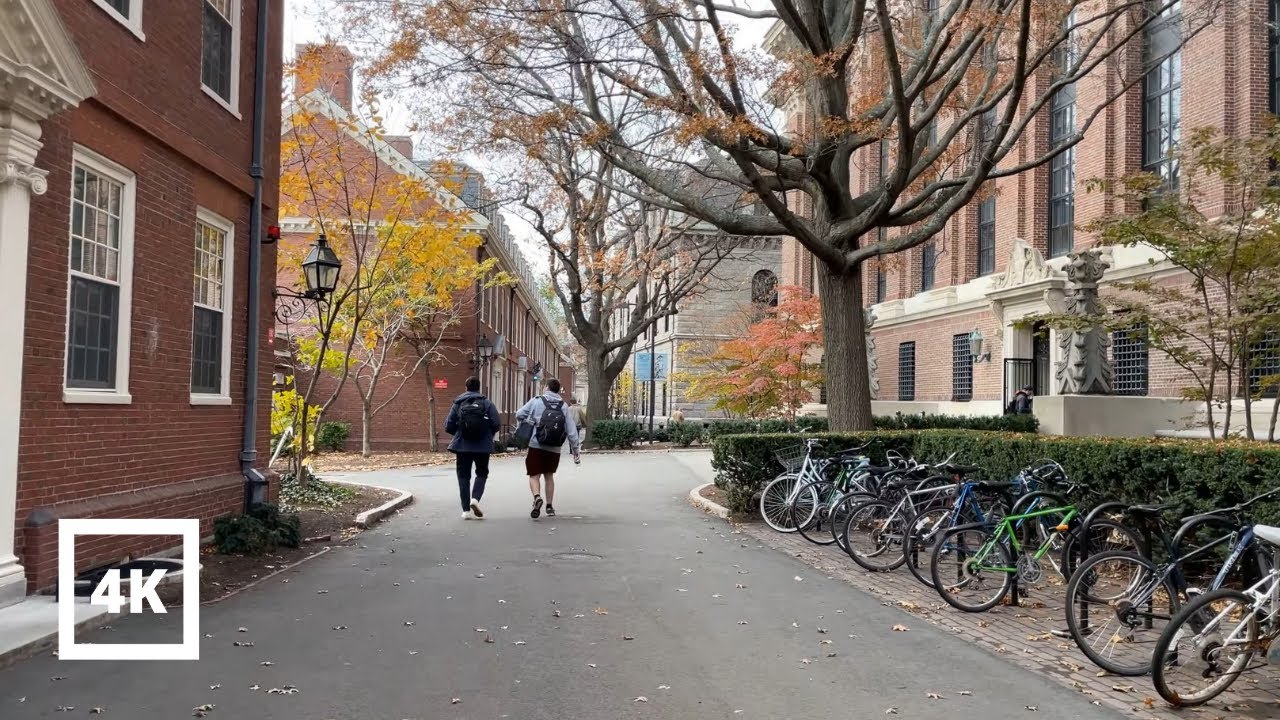 4K | Walking Harvard Yard and Harvard Law School | ASMR City Sounds Relaxing