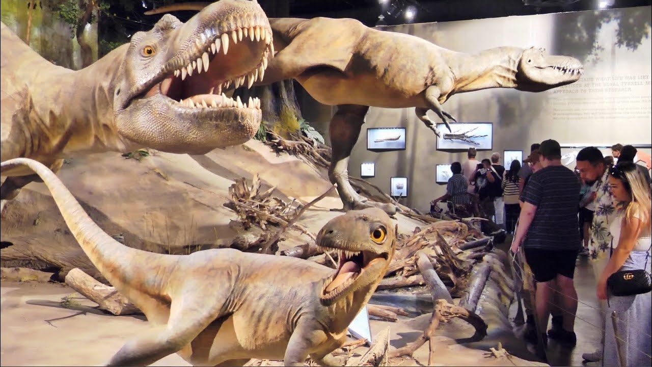Drumheller Royal Tyrrell Museum Dinosaur Museum Virtual Tour