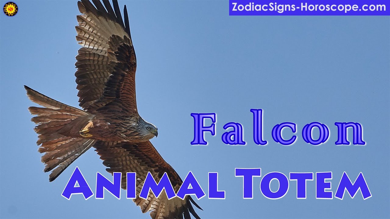 Falcon Animal Totem - Falcon Spirit Animal Meaning, Symbolism, Dream of the Falcon Totem