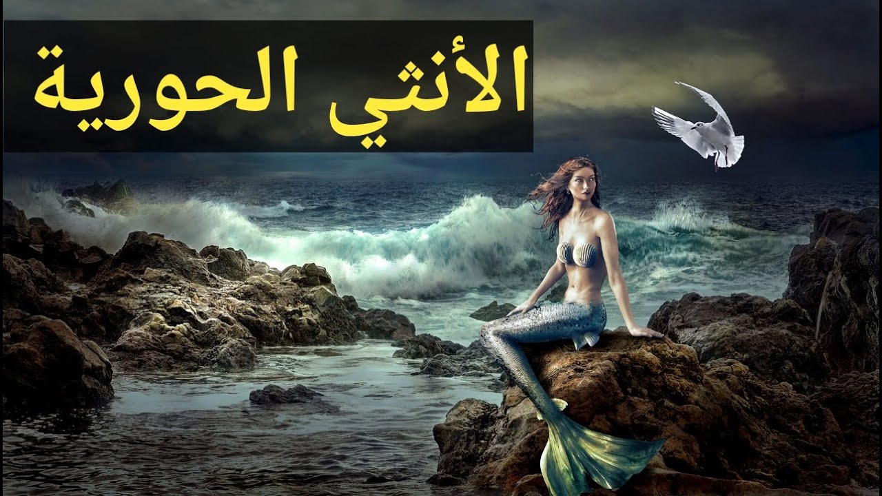الأنثى الحورية الجذابة ملكة الغواية🧜‍♀️| بنات أفكاري (6)| للبنات فقط