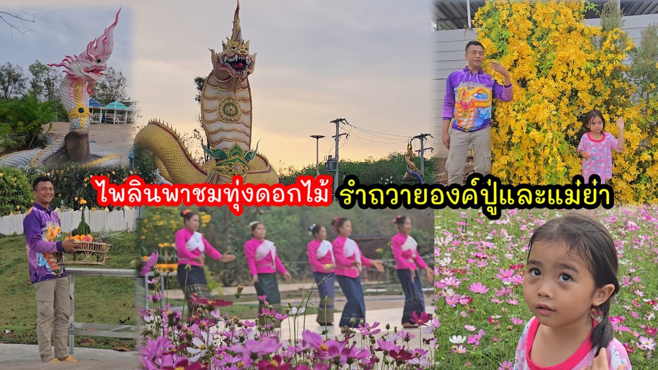 ไพลินพาชมทุ่งดอกไม้ รำถวายองค์ปู่และแม่ย่าช่อแก้วจำปา