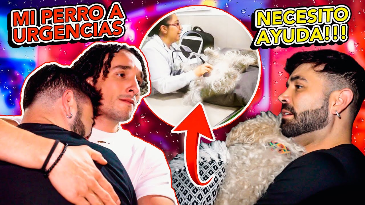 TENGO QUE DESPEDIRME DE MI PERRO? | ESTA INTERNADO CONSOMÉ | RULÉS
