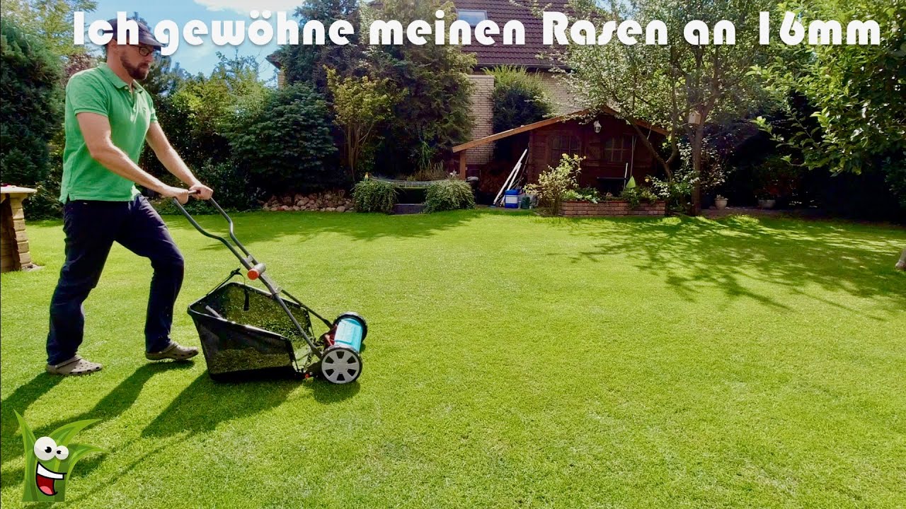 16mm mit Gardena Handspindelmäher?!😉 Die große Frage: Mulcht ihr oder Mulcht ihr nicht? Der Fangkorb