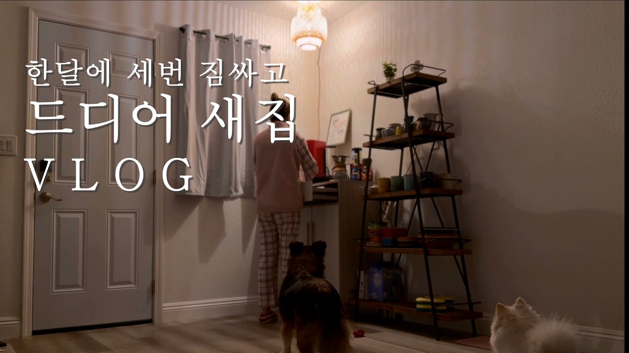 동분서주 긴박했던 한달/캘리포니아 새집정착/미곰이 새살림 시작합니다/ 다같이 구경하는 동네 한바퀴/미국시골에서 빵굽다 대도시로 이사간 엄마의 이야기Vlog