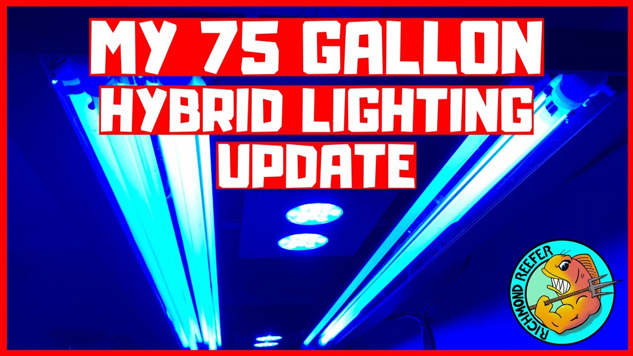 75 Gallon Reef Tank - New Lighting Update - T5 And LED Hybrid Lighting