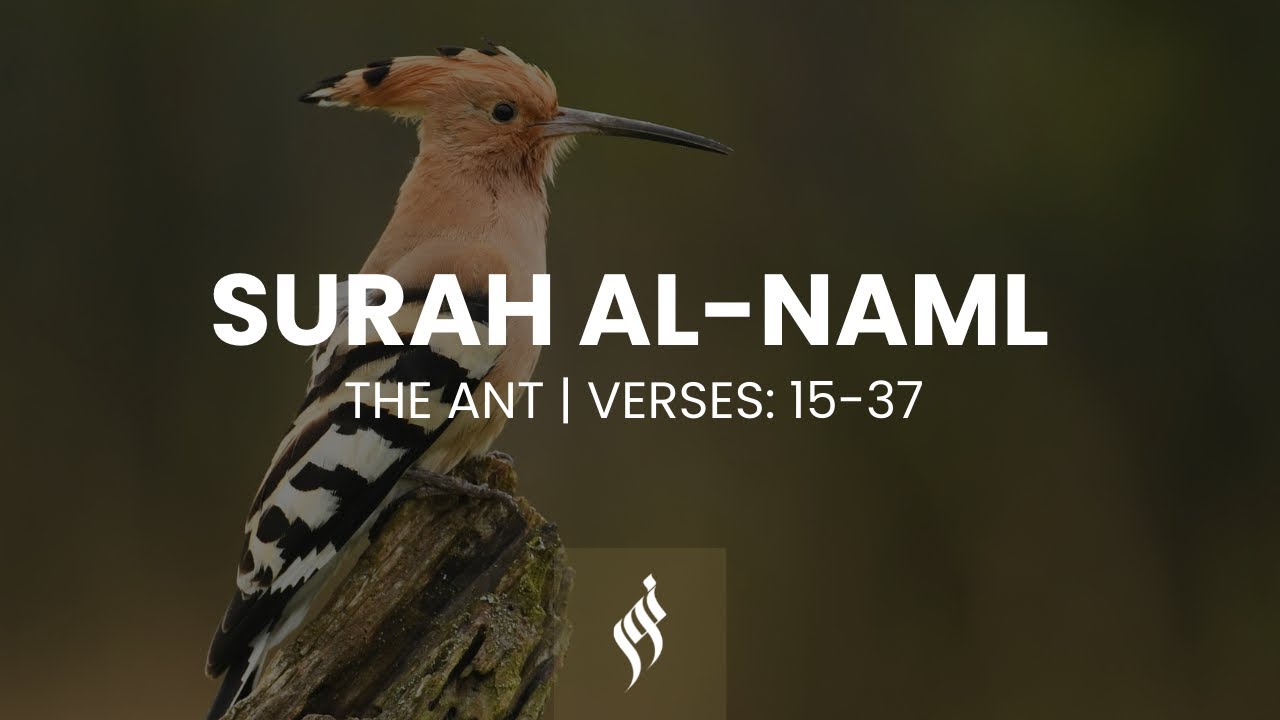 Surah Al Naml by Idris Abkar | تلاوة جميلة بصوت ادريس ابكر