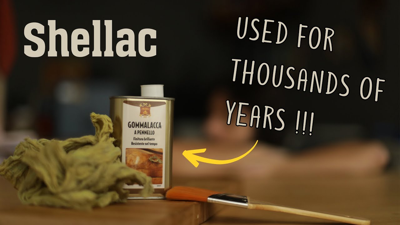 The Ultimate Guide to Shellac: ALL Natural Varnish and EASY to use!