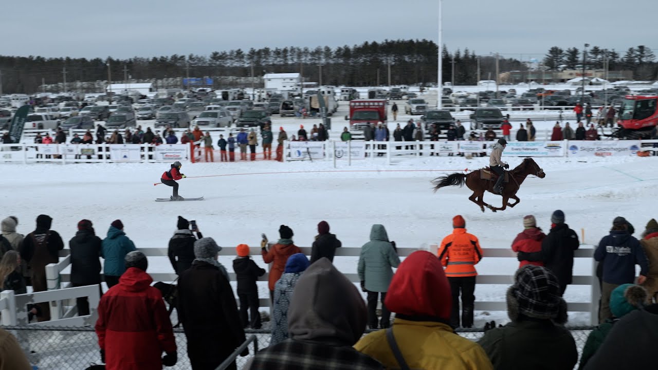 Equestrian Skijoring | Assignment Maine