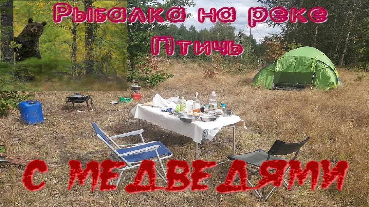 Ночуем на реке Птичь с медведями.