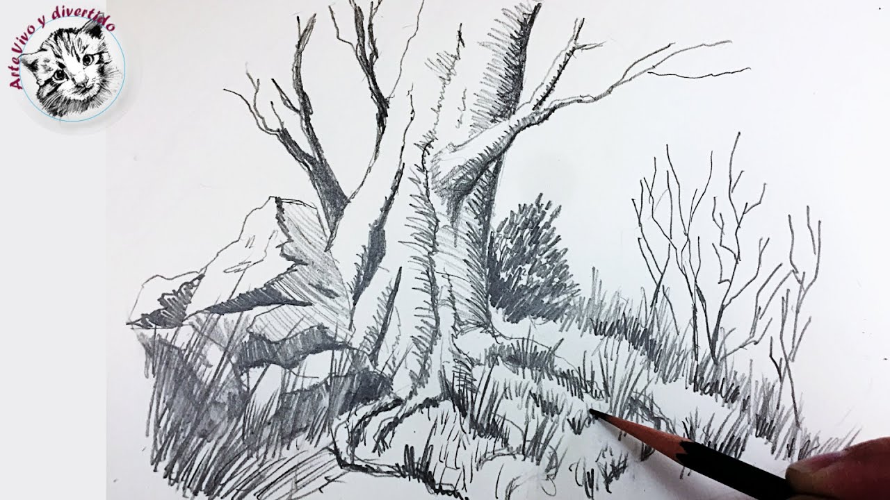 Cómo Dibujar un Paisaje con Lapiz muy Facil y Paso a Paso: Si te ha pasado esto...