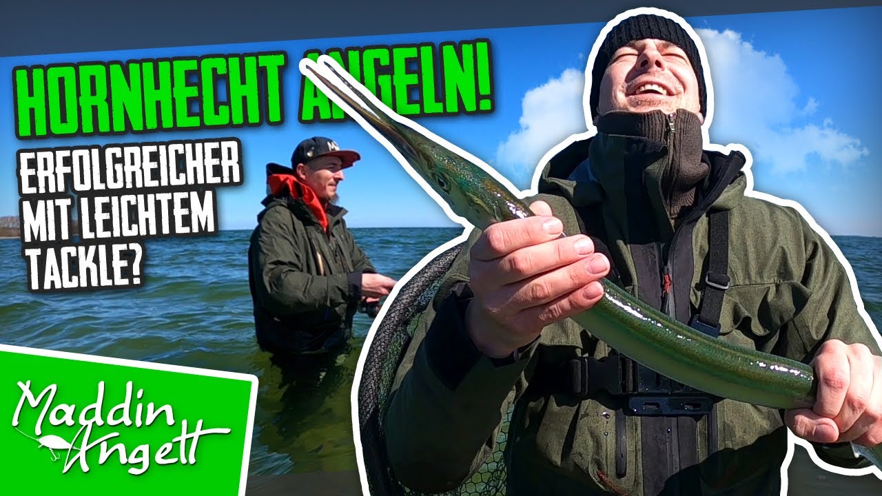 Erfolgreich Angeln auf Hornhecht im Bodden!