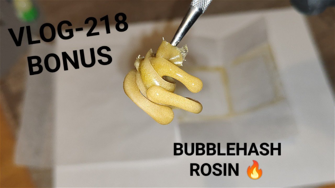 BONUS Dosi  Banana  Bubblehash Pressing The 73 Micron Resin Into Rosin  VLOG NR 218