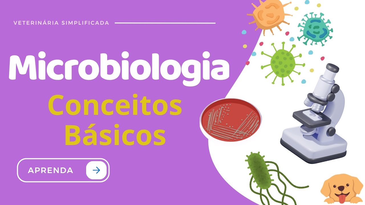 Microbiologia | Conceitos Básicos