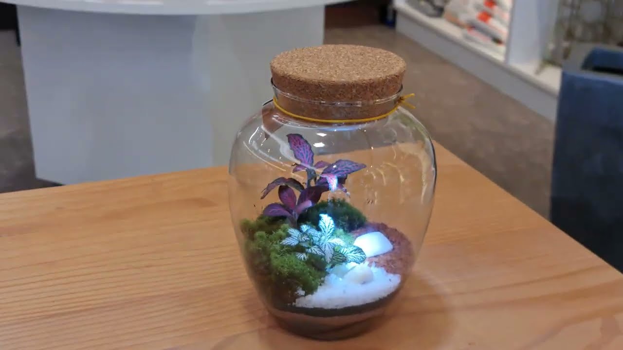 Terrário Mini Mundo Pera G - Com LED