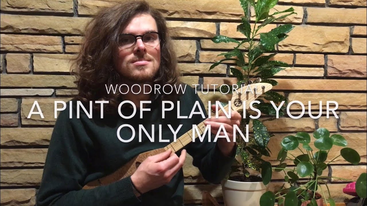 THE WOODROW: How to play A Pint Of Plain Is Your Only Man as performed by Brendan Gleeson