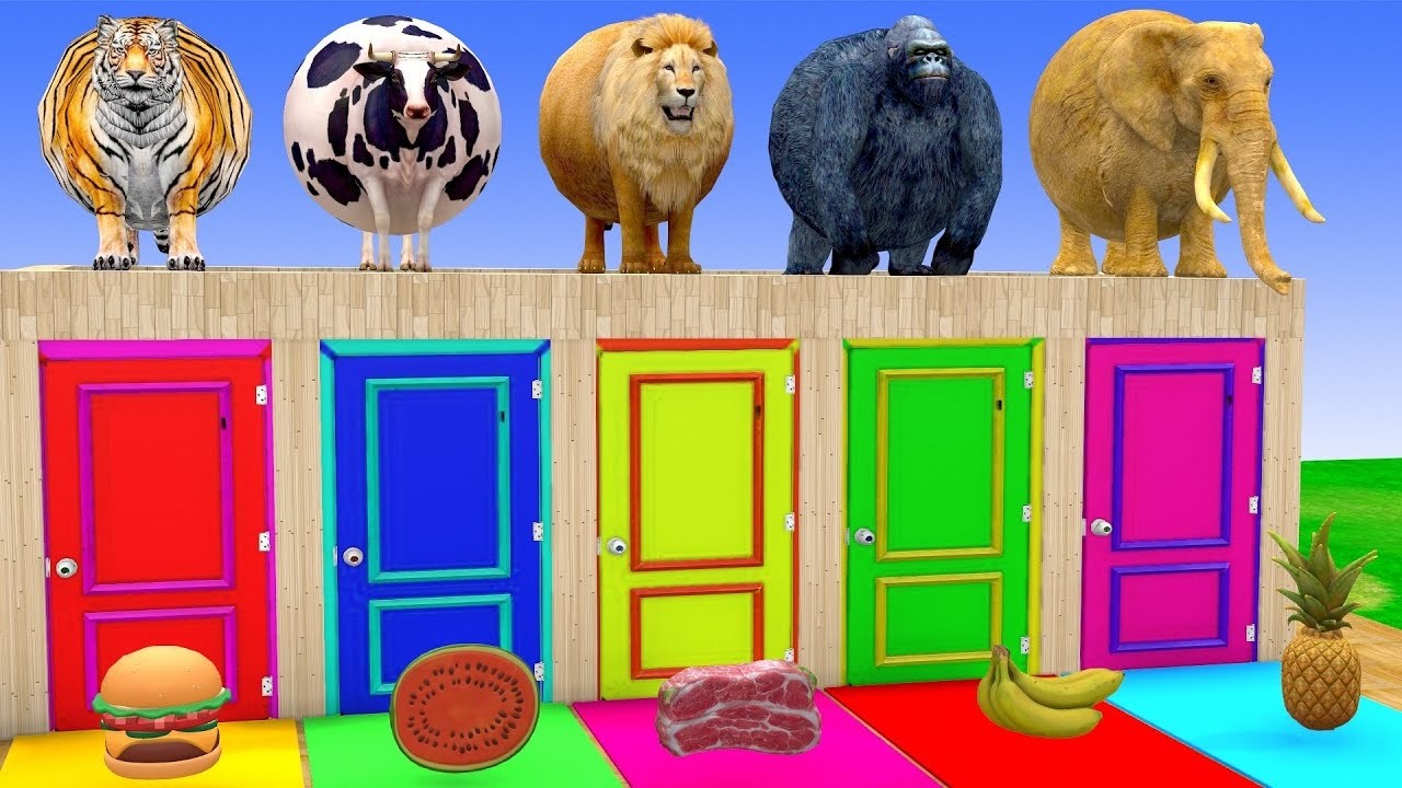 Long Slide Game With Cow Elephant Gorilla Hippopotamus Tiger 3d Animal Game Funny 3d AnimalsVideo