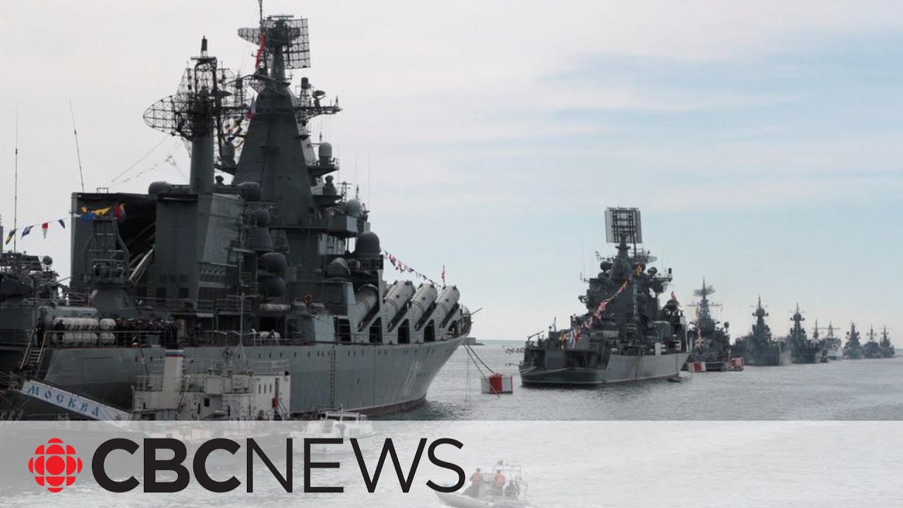 Ukraine announces 'humanitarian corridor' for ships stuck in Black Sea ports