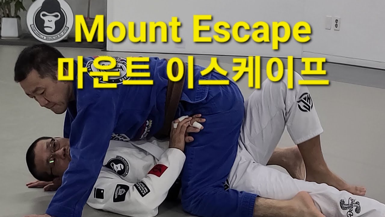마운트 이스케이프 Mount Escape (기술도움 : 정재훈) #마운트이스케이프 #mountescape