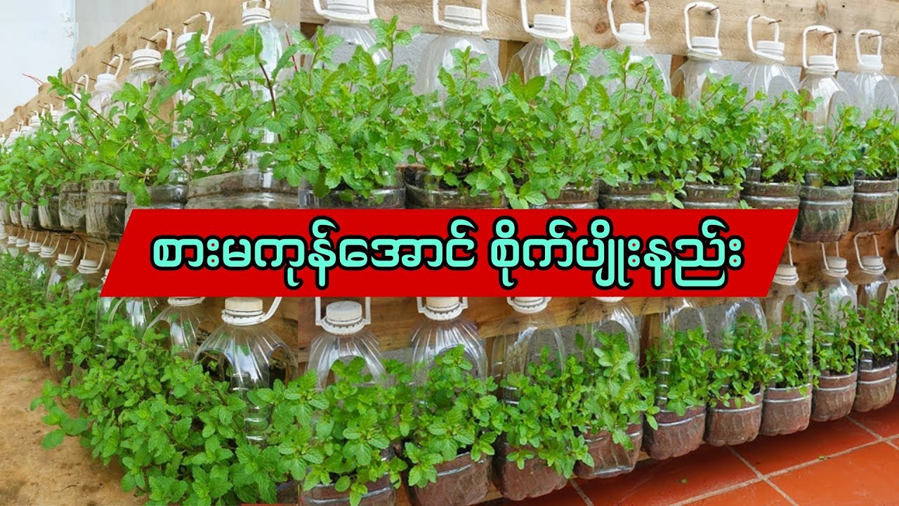 မြေနေရာမလိုဘဲ စားမကုန်အောင် 