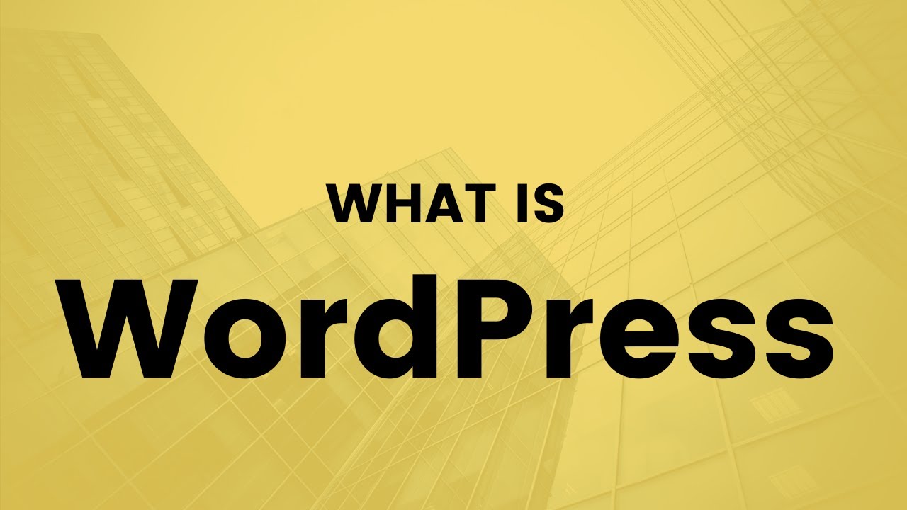 What is WordPress? Everything you need to know