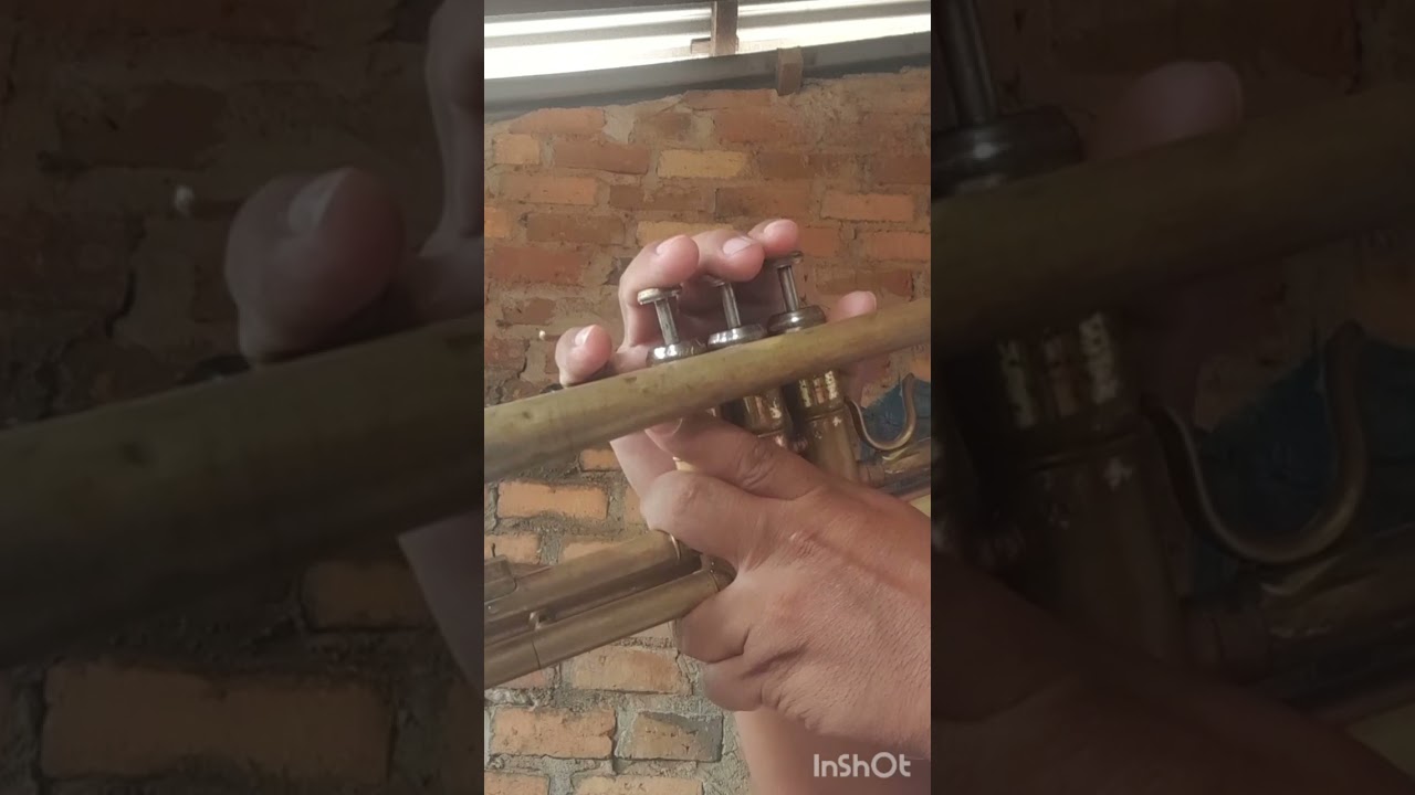 TAMARINDO SECO , AMALAYA Y LA MUCURA ( tutorial de trompeta ) MC.