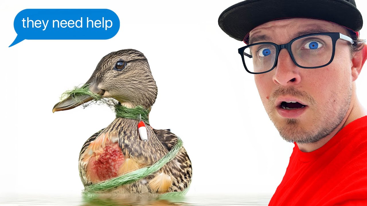 I Rescued These Ducks Just In Time!