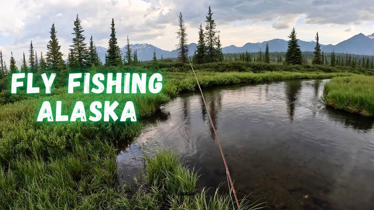 Fly Fishing for Arctic Grayling in Denali, Alaska