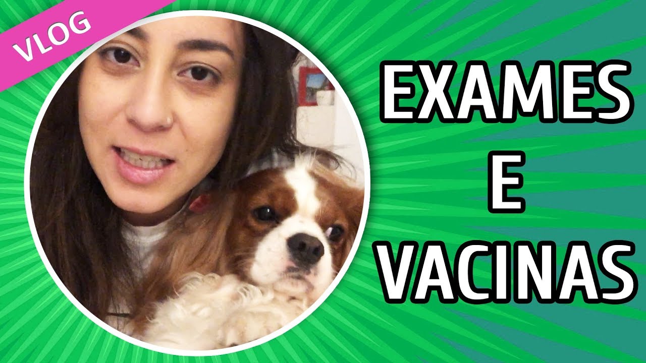 EXAMES PRÉ-OPERATÓRIOS E VACINAS - VLOG!
