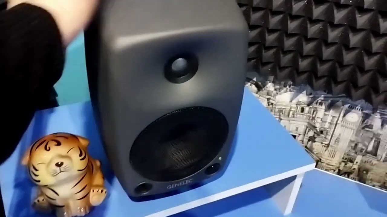 Обзор студийного микрофона neumann tlm170i и Студийных мониторов  genelec 8030a